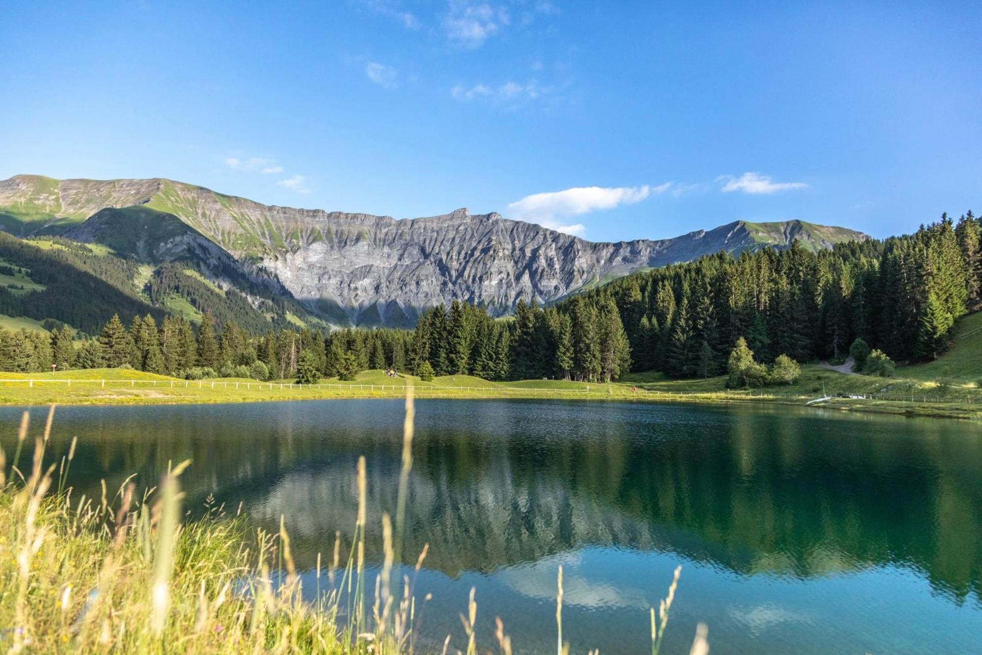 Hotel L'Arboisie Megève Eksteriør bilde